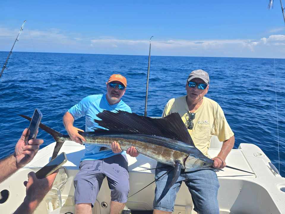 Nice Atlantic sailfish with that classic tall dorsal fin! Great catch using deep sea techniques.