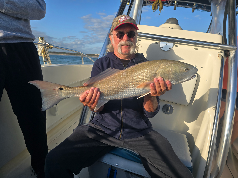 Looks like a good catch!