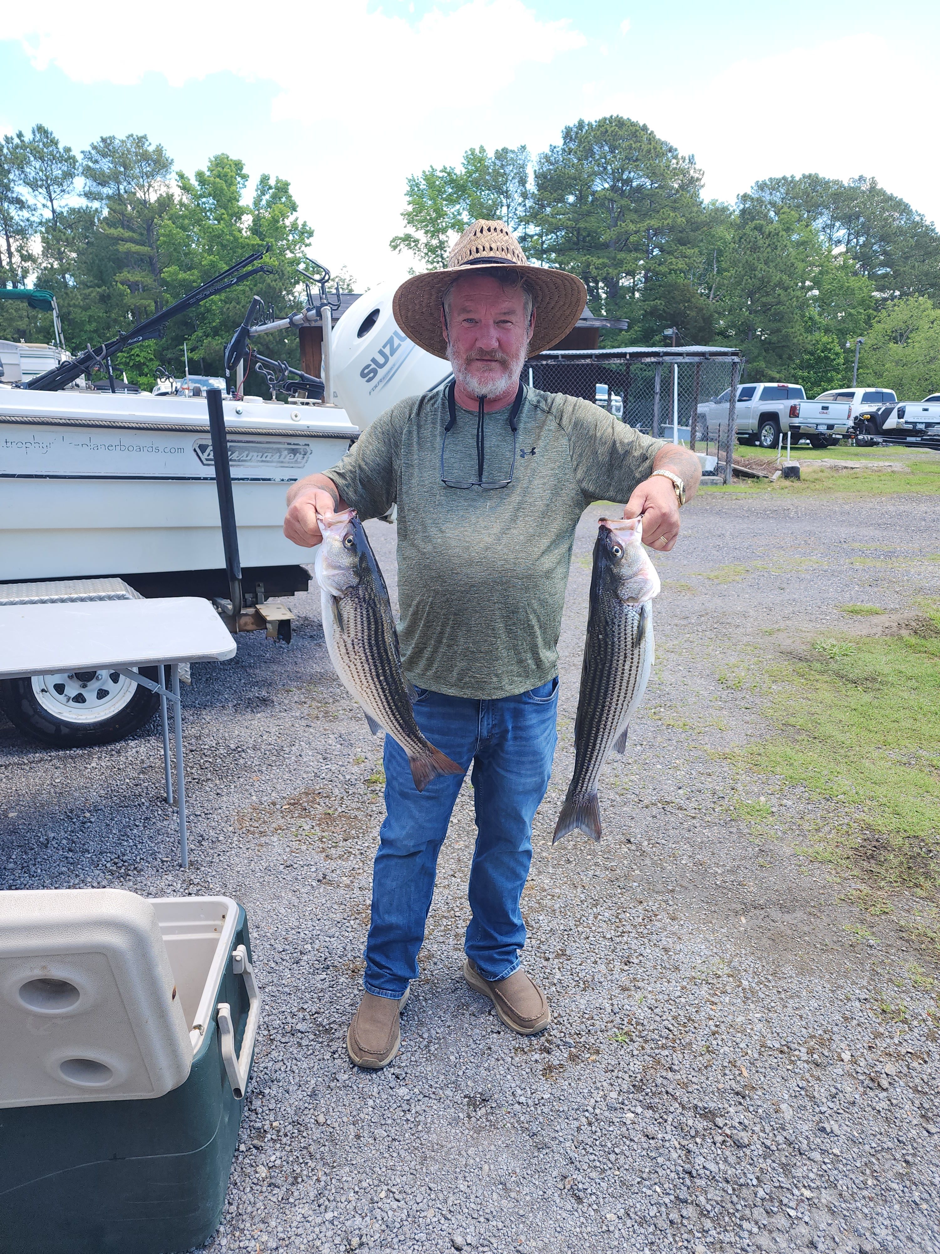 Two striped bass caught while fishing