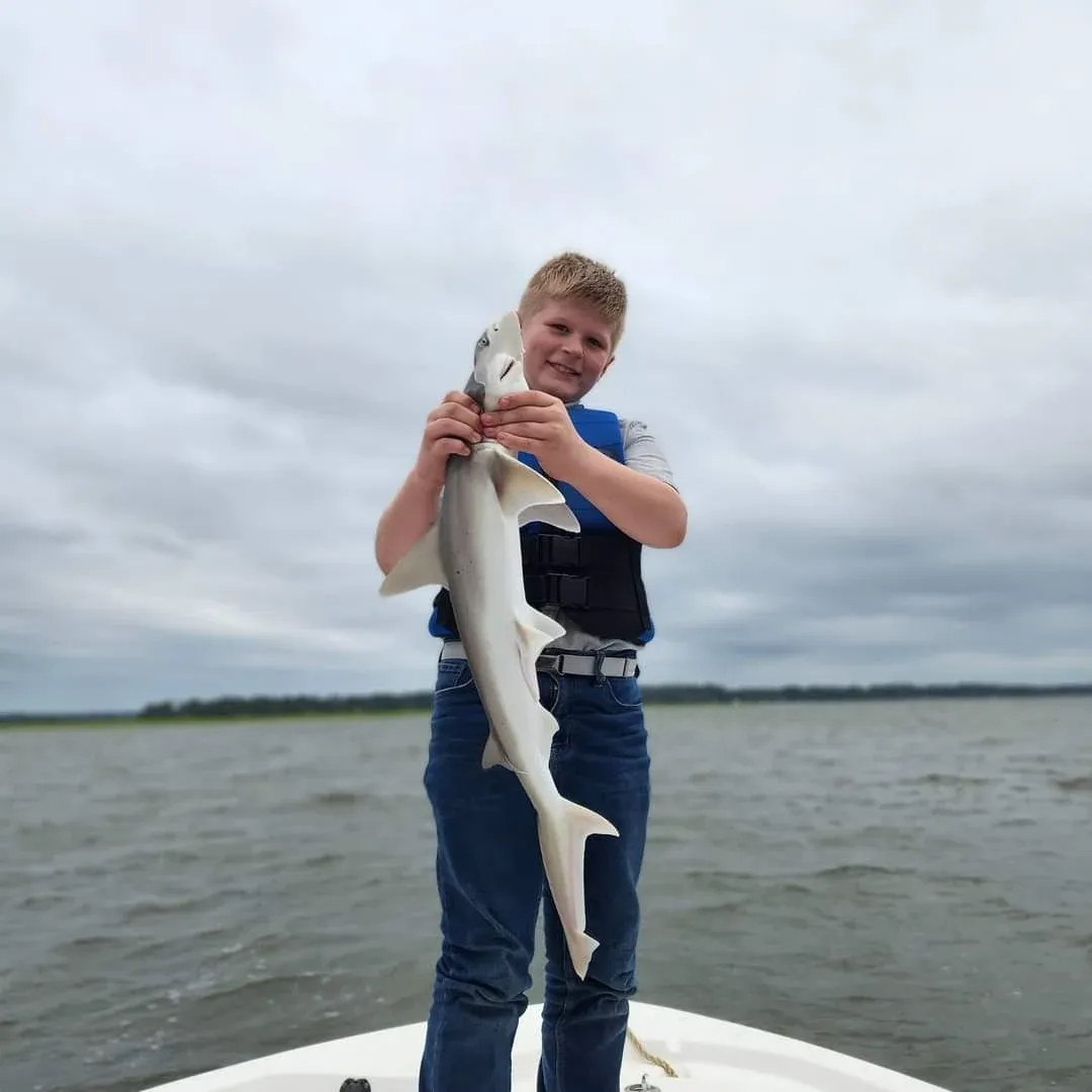 Photograph of an Atlantic Sharpnose Shark, a 26-inch fishing catch