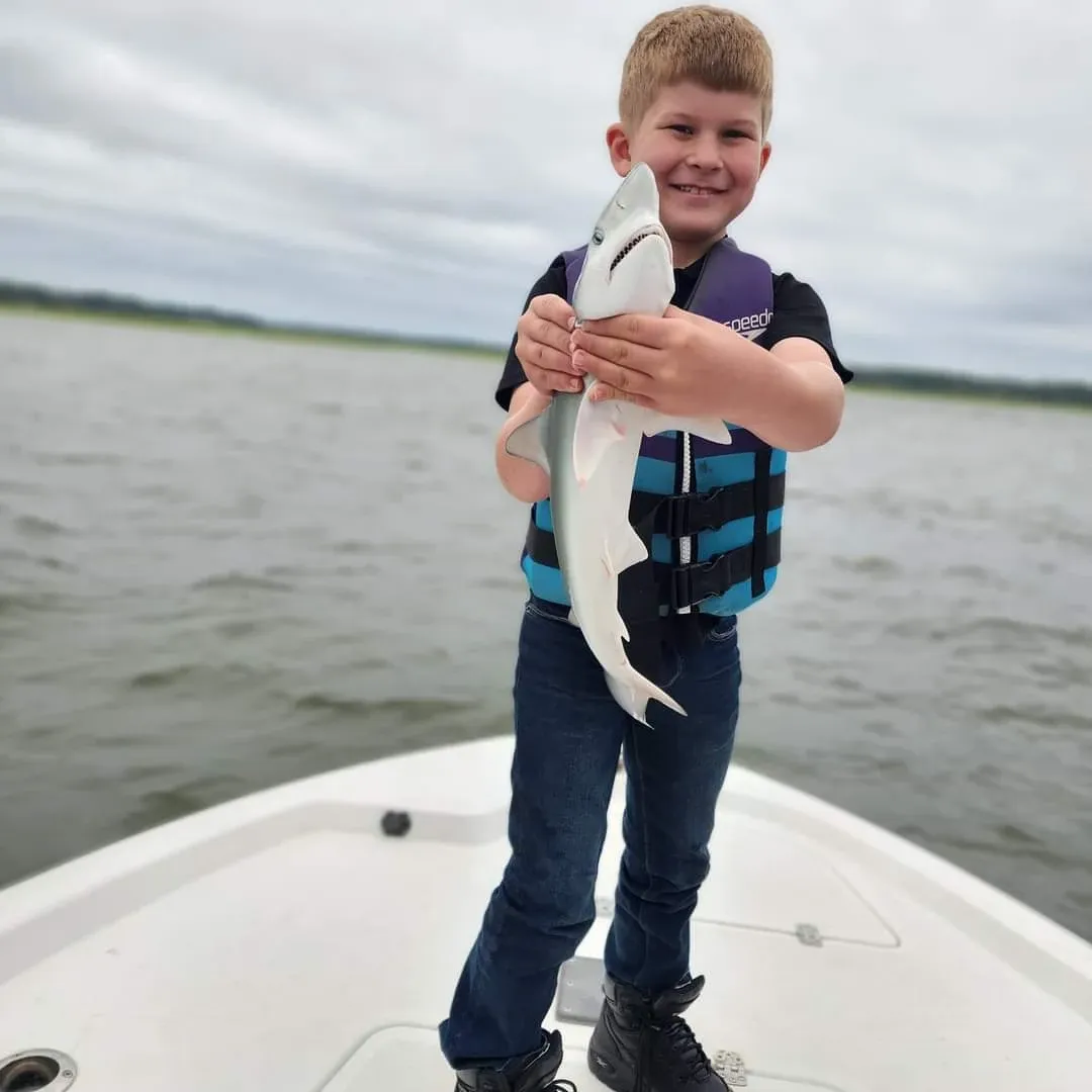2 Atlantic Sharpnose Sharks, 12 inches each, caught while fishing