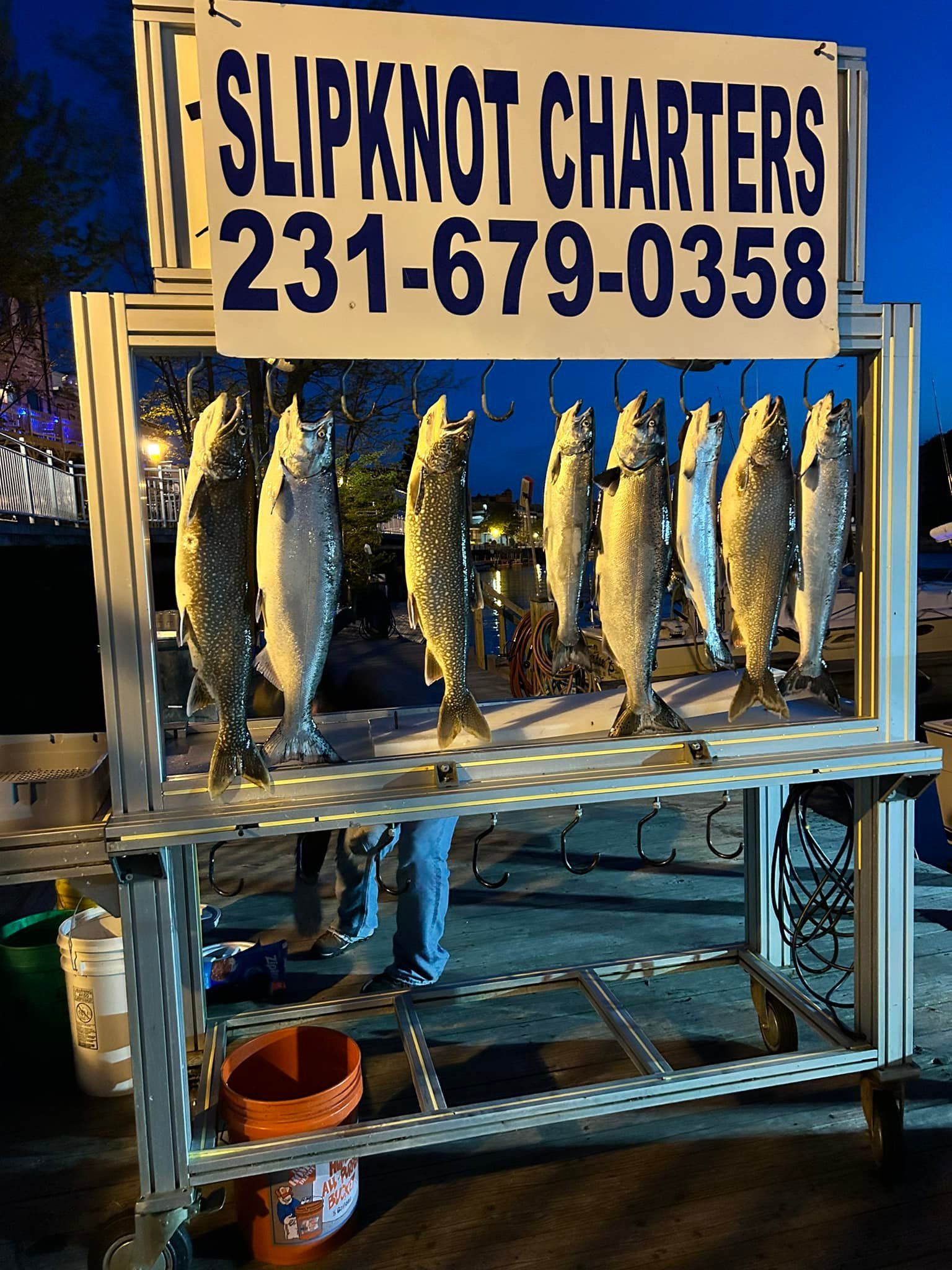 Six fish caught while fishing in unknown location