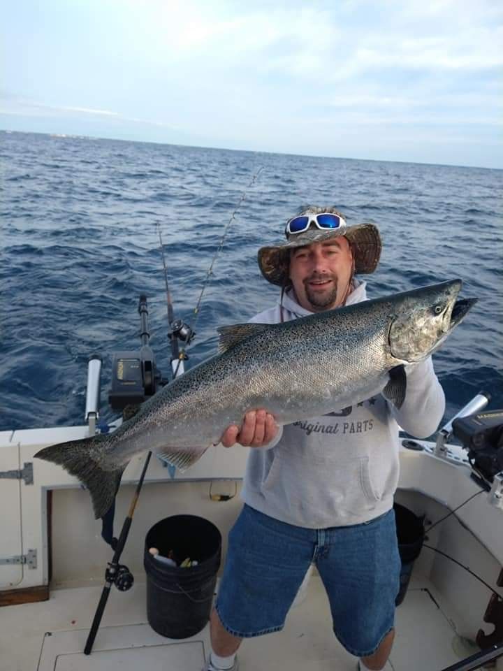Chinook salmon caught while fishing