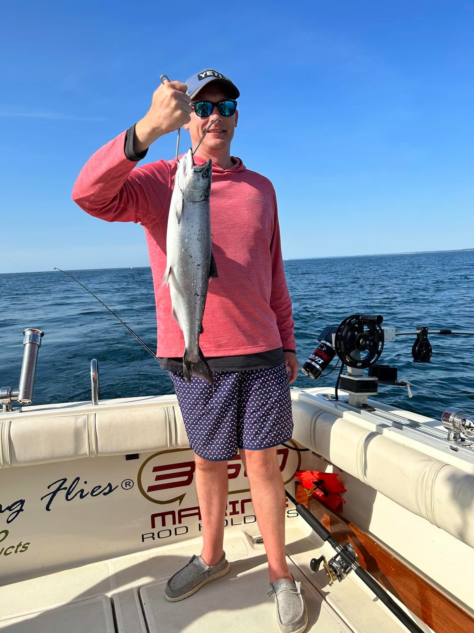 Chinook salmon caught while fishing
