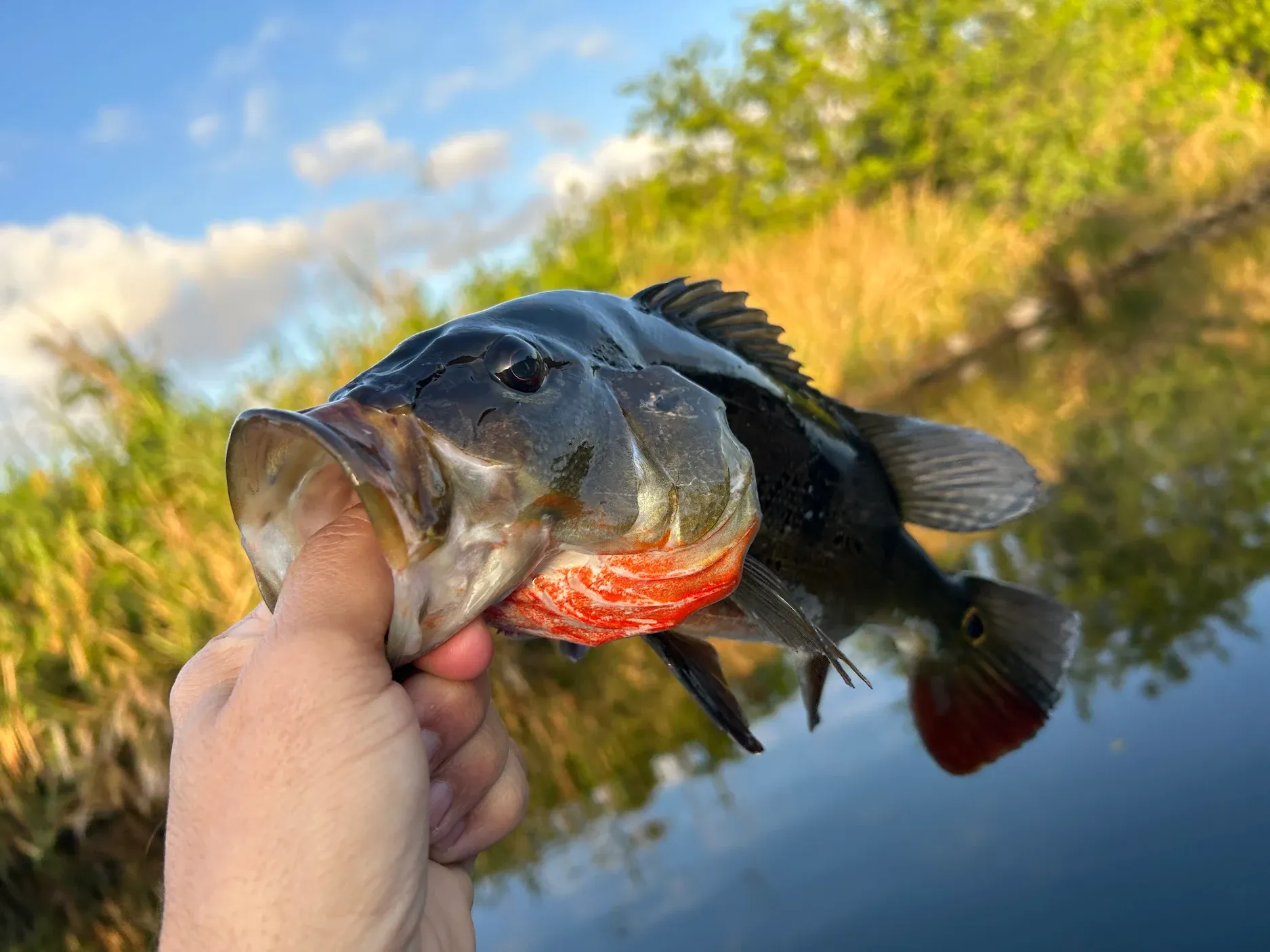 Fishing in unknown location
