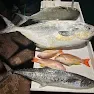 Fresh caught fish displayed on wooden surface outdoors