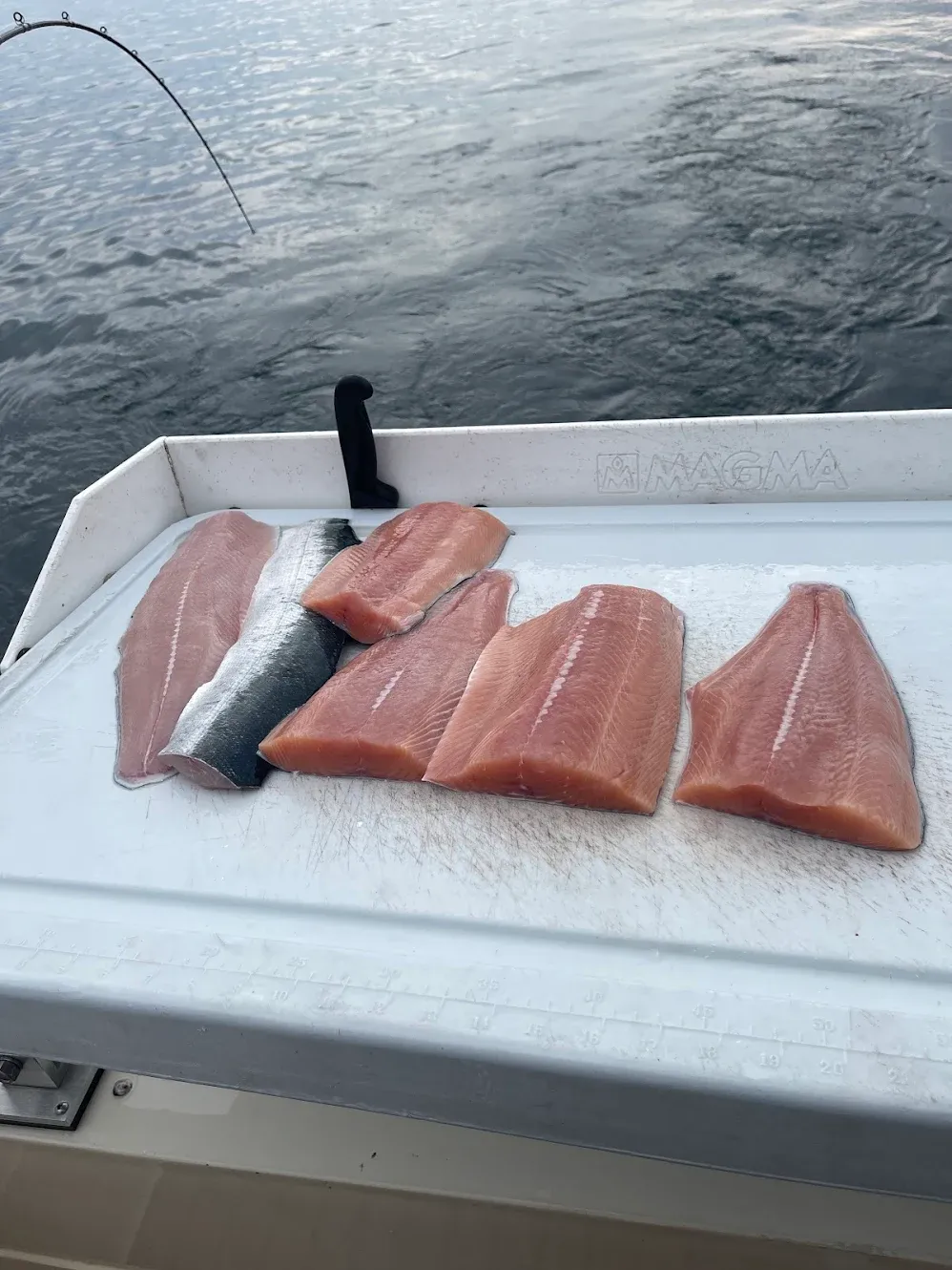 Fresh caught fish fillets laid out on white cutting board on boat deck with fishing rod visible