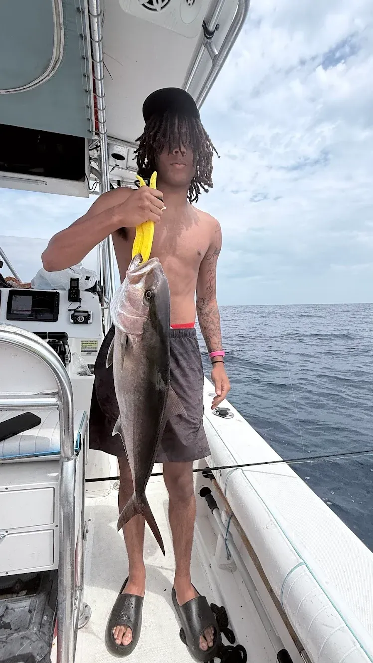 Greater amberjack catch displayed on fishing boat deck over ocean waters