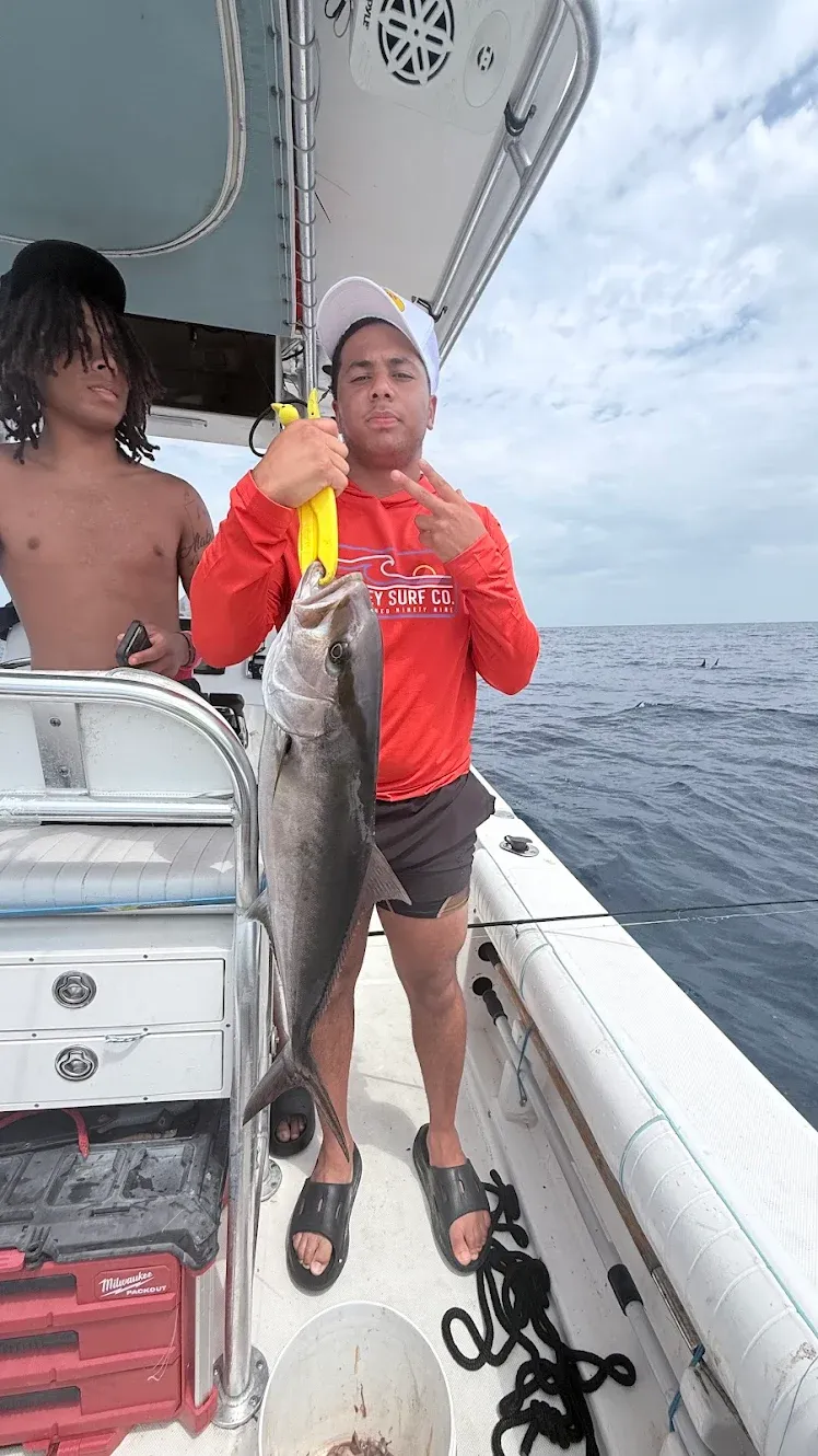 Greater amberjack caught during offshore fishing trip on boat