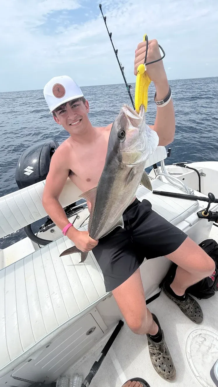 Greater amberjack caught while offshore fishing, displayed on boat deck
