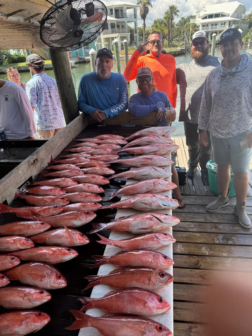 Large catch of red snapper fish displayed on wooden dock after successful fishing trip