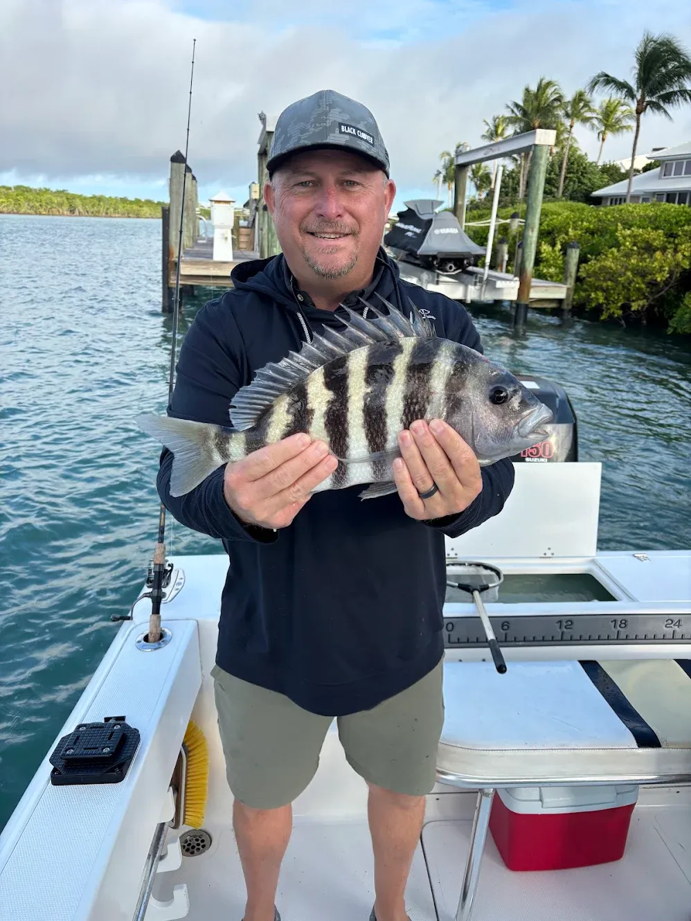 Freshly caught sheepshead fish being displayed on fishing boat