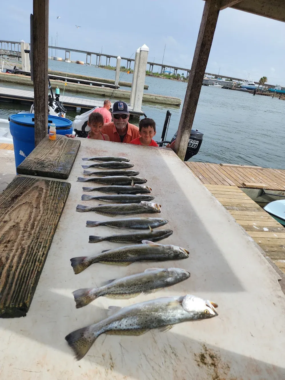Multiple speckled trout laid out on fishing dock cleaning station after successful fishing trip
