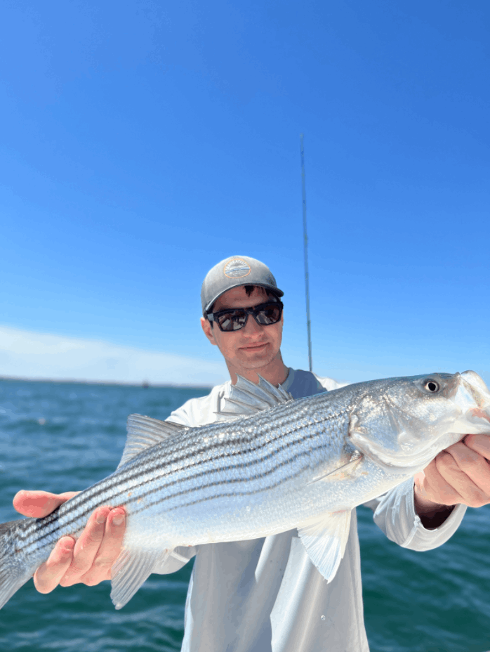 Striped bass caught while fishing