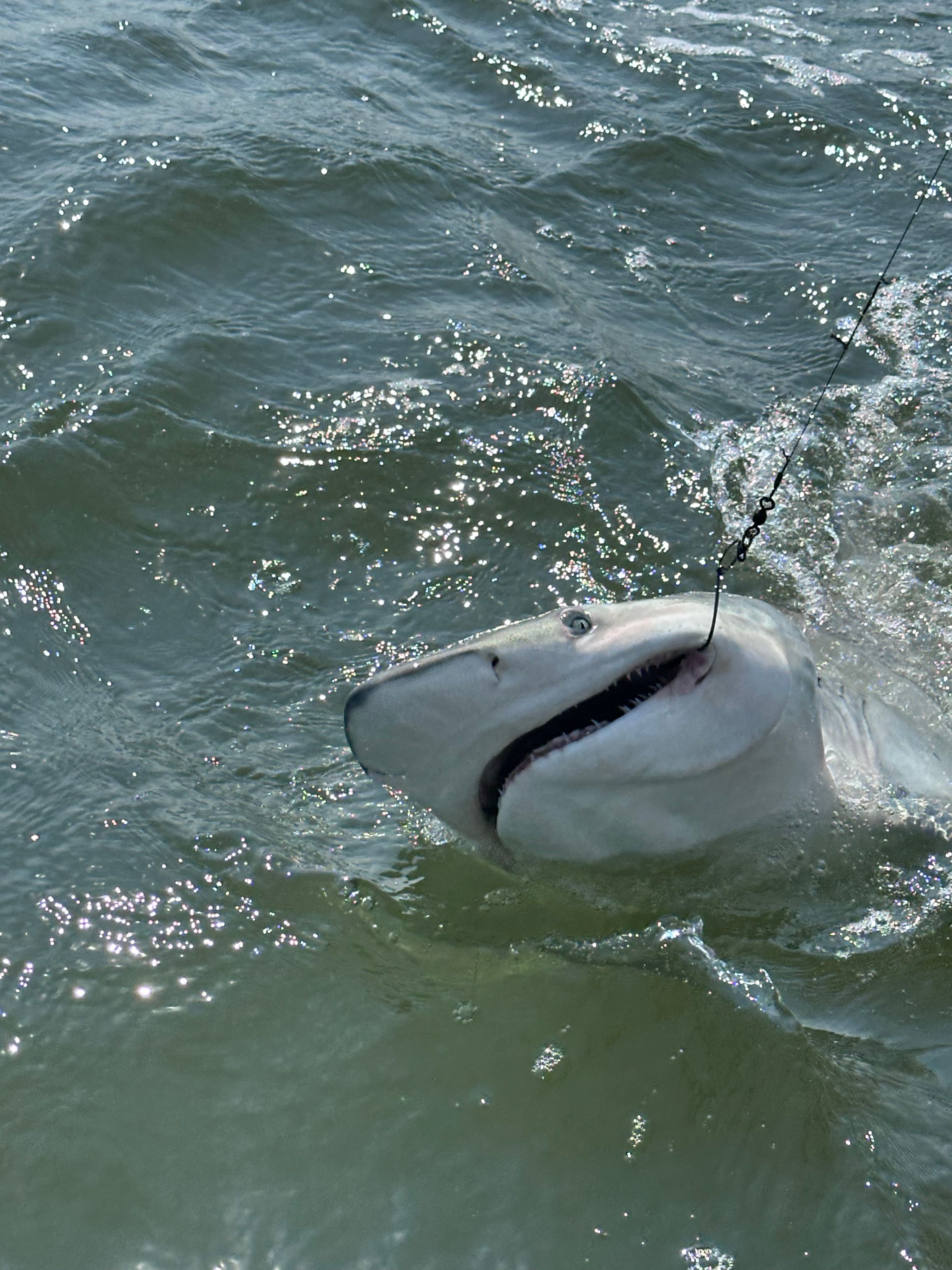 Fishing in an unknown location