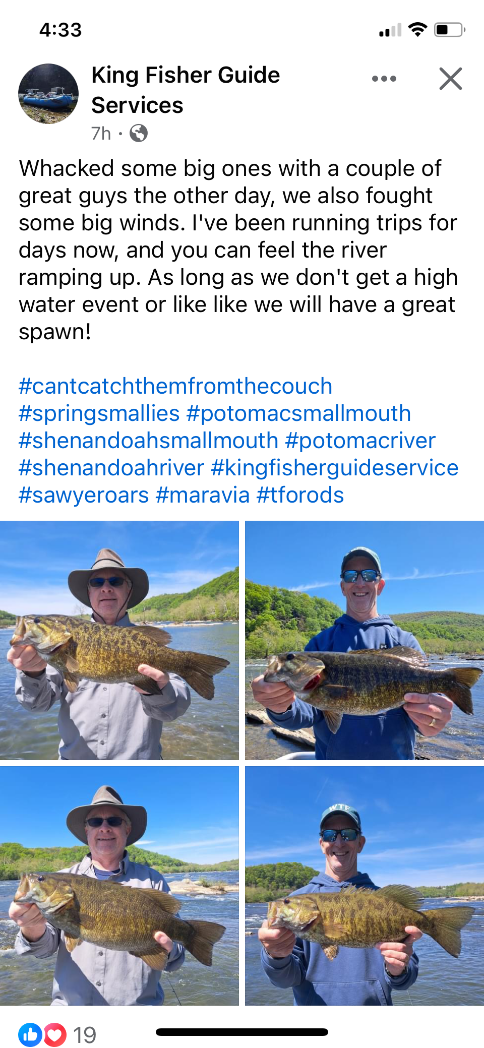 Four Smallmouth Bass caught while fishing