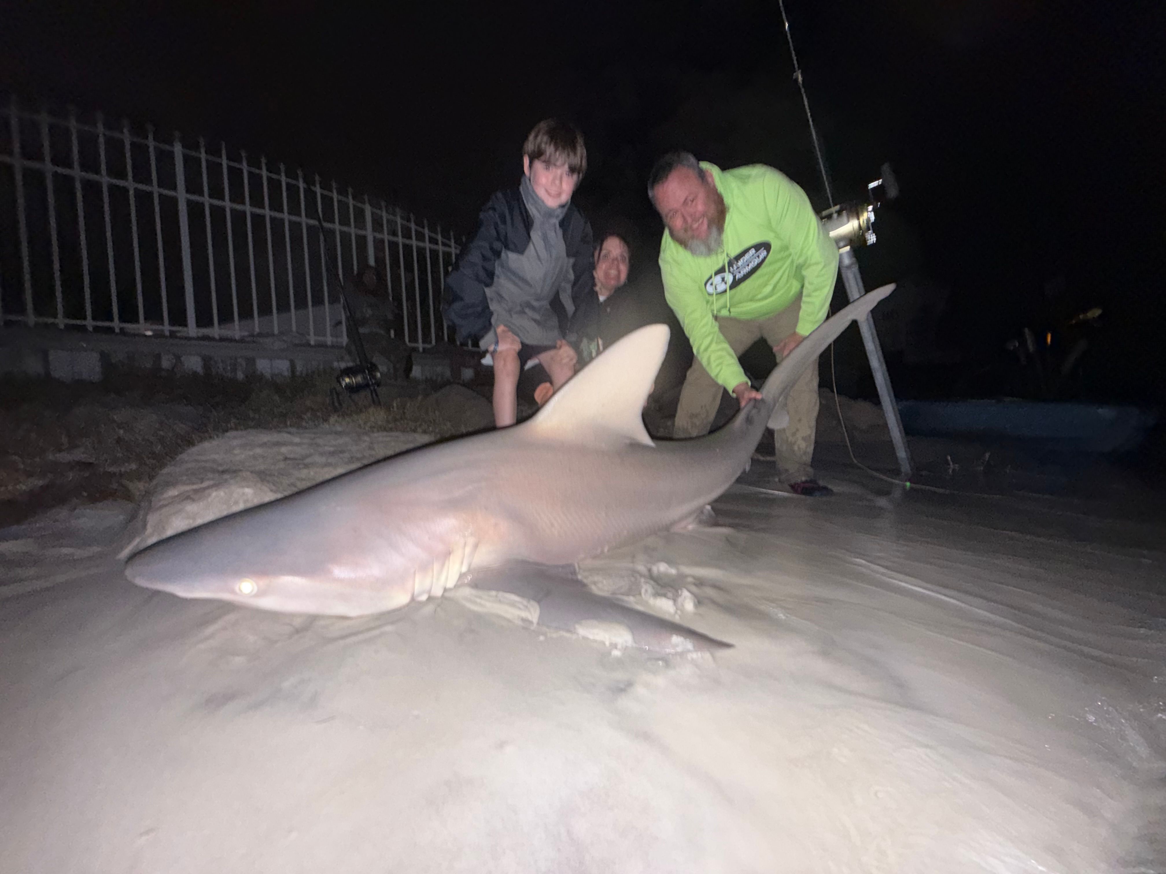 Whitetip reef shark caught while fishing