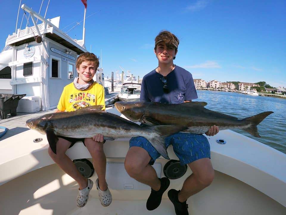 Premier Chesapeake Bay Fishing!