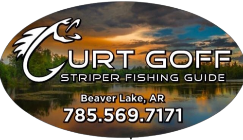 Beaver Lake Fishing Reports