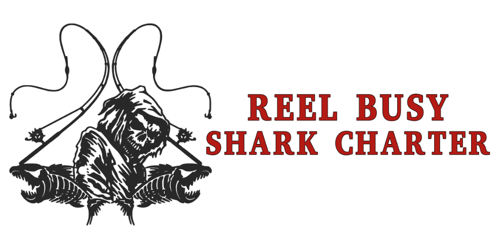 Captain billy of darien ga reel busy shark charter