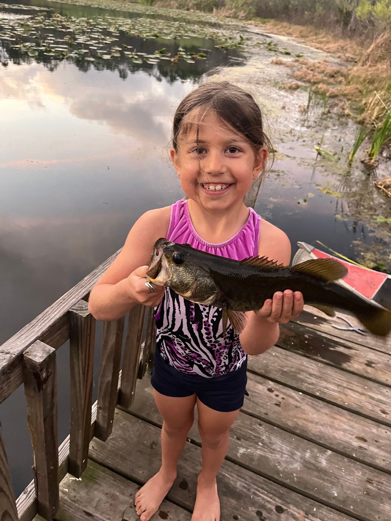 Bank Fishing Bass Guide Land O Lakes Largemouth