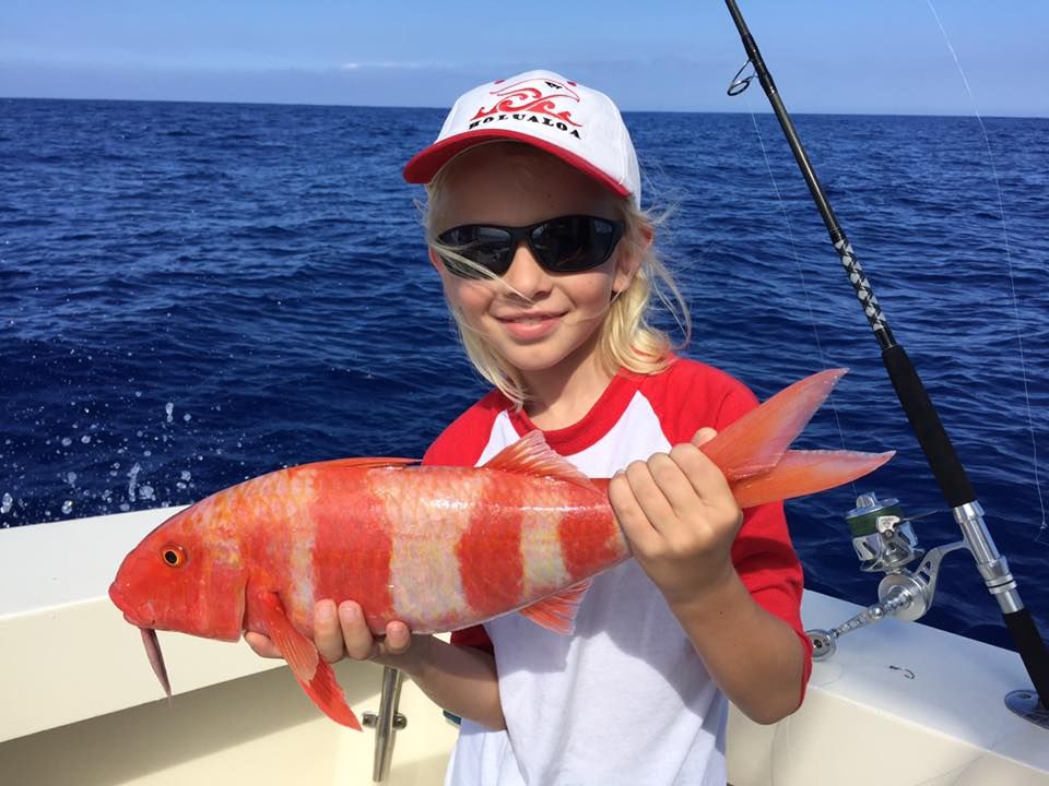 World-Class Half-Day Kona Fishing | Silky Sport