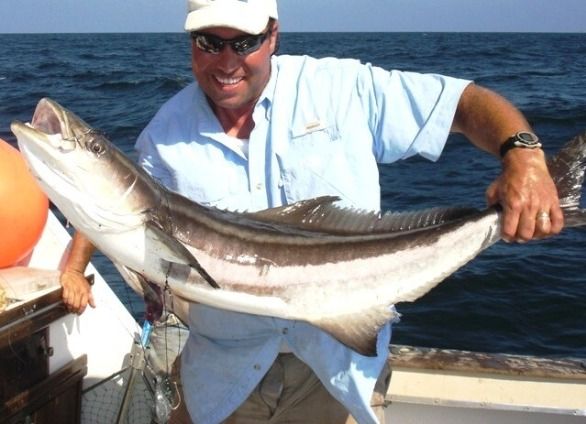 Ultra Fishing Charters