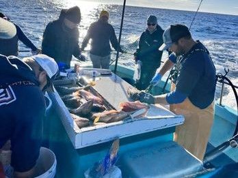 Bodega Bay Charters Bodega Bay Fishing Charter | Private 20 Hour Fishing Trip (Bluefin and Albacore Tuna) fishing Offshore