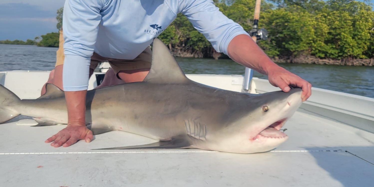 Naples Night Shark Fishing: 4-Hour Adventure