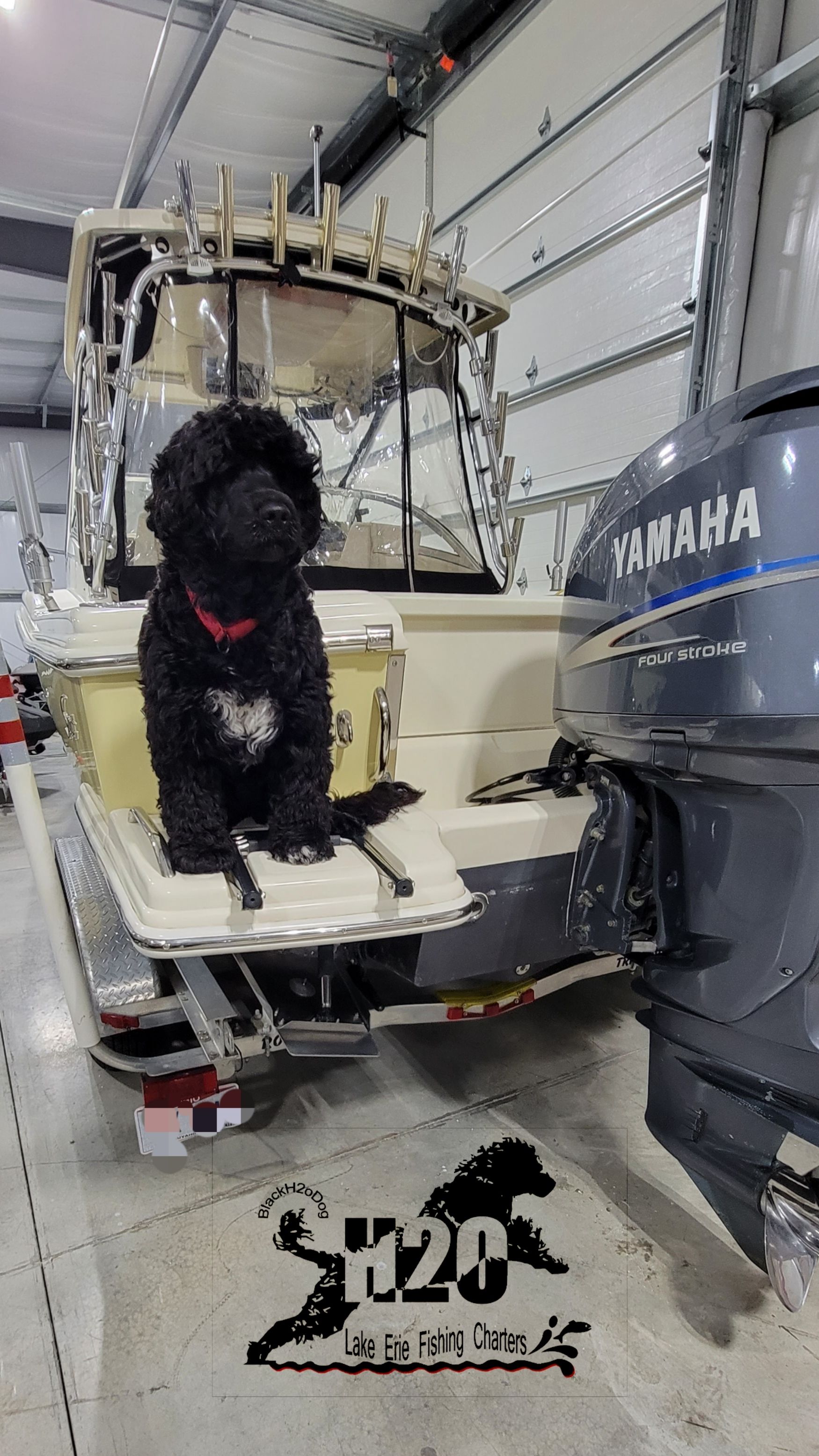 BlackH2oDog ready for 2023 fishing report coverpicture