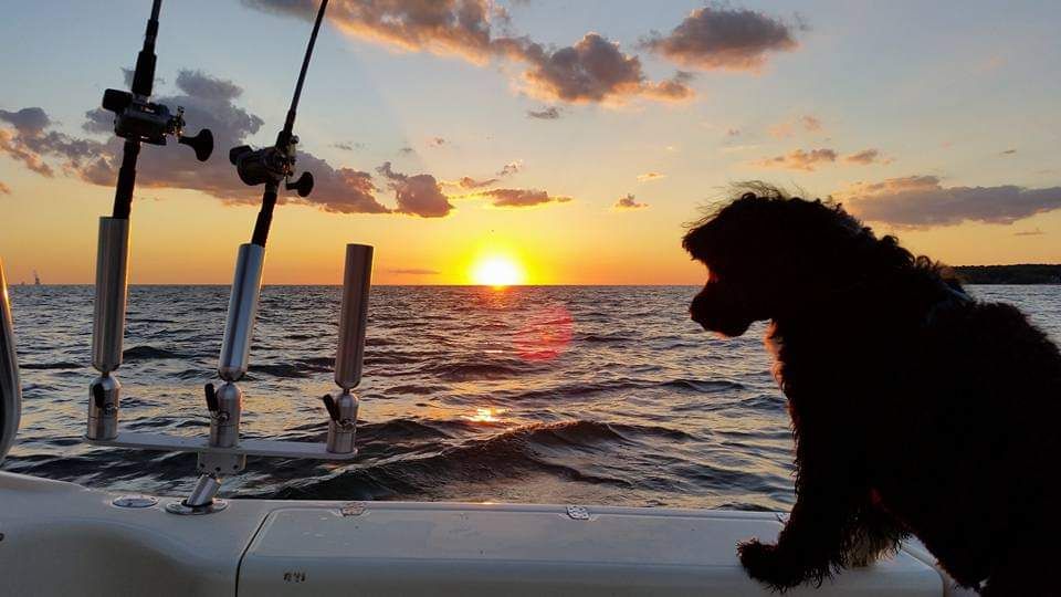 Black H2o Dog Charters Lake Erie Walleye Fishing Charters | 6HR Large Group Fishing fishing Offshore