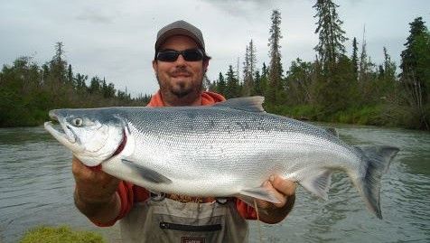 Alaska Slammin Salmon Charters Salmon Run Alaska fishing River