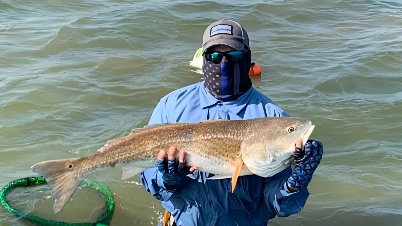 Top-Rated Matagorda Tournament Fishing Trips