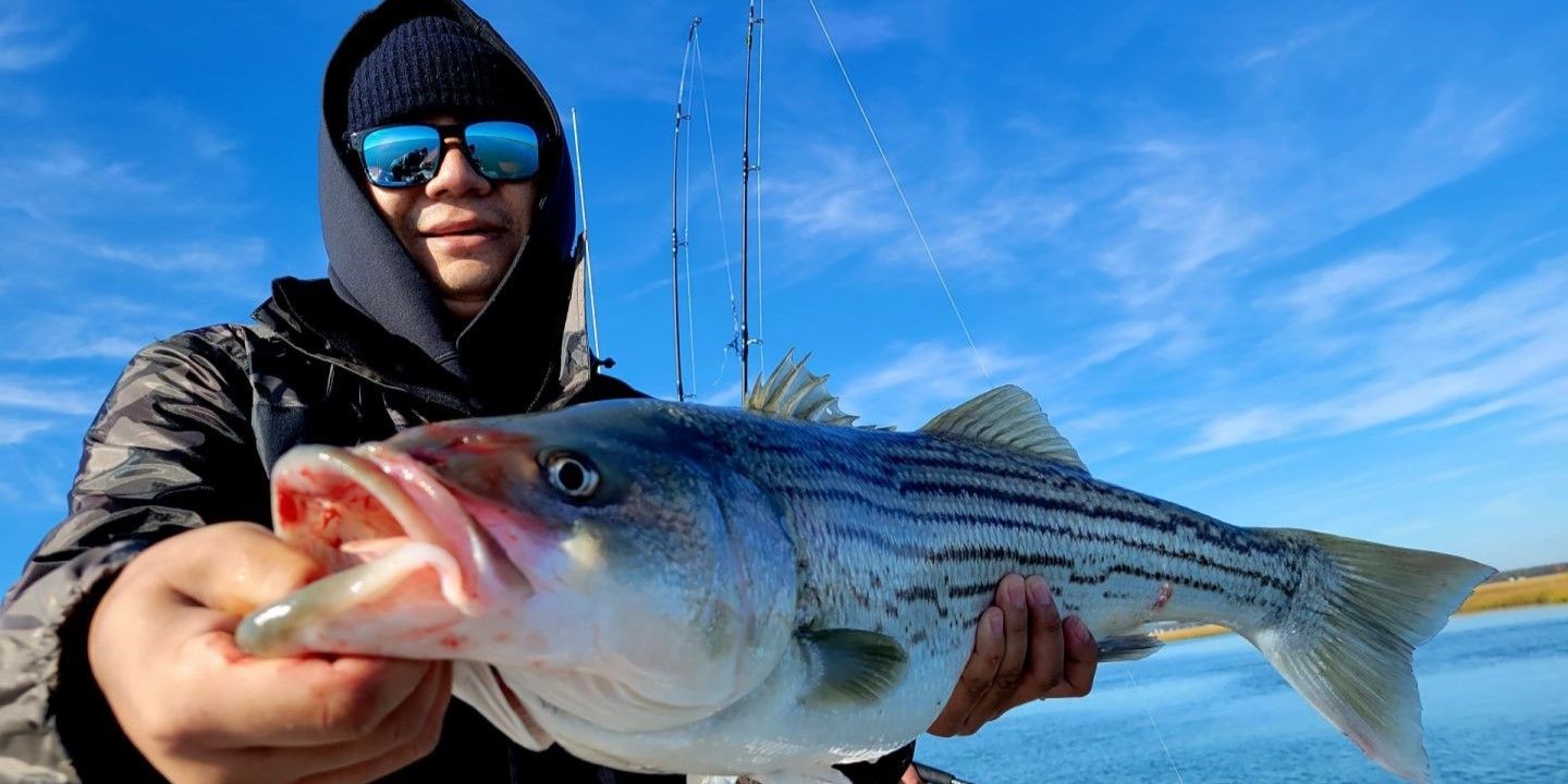 Logos Guide Service Atlantic City Charter Fishing | Private - 4 Hour Trip fishing Inshore