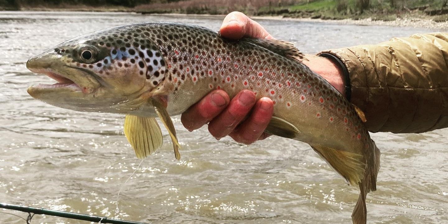 Angles Sports Guided Fly Fishing Trips  | 1 Guest  fishing River