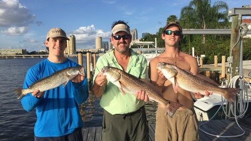 Downtown Tampa Charters 4 Hour Sunrise Special Fishing Trip - Tampa, Florida fishing Inshore