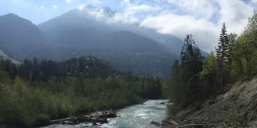 Top-Rated Chilliwack River Nature Tour