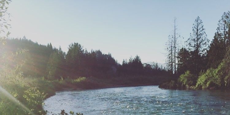 Scenic Chilliwack River Tour with Cold Water Guiding