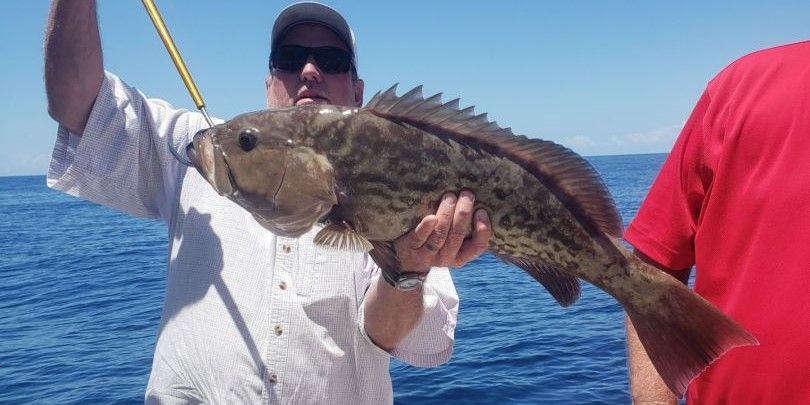 Reel Crazy Fishing Charters PCB Fishing Charters in Florida | Private 6 Hour Morning or Afternoon Adventures fishing Offshore