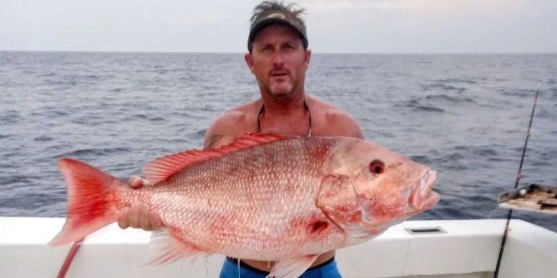 Reel Crazy Fishing Charters PCB Florida Fishing Charter | Private 6 Hour Morning or Afternoon Snapper Hunt fishing Offshore