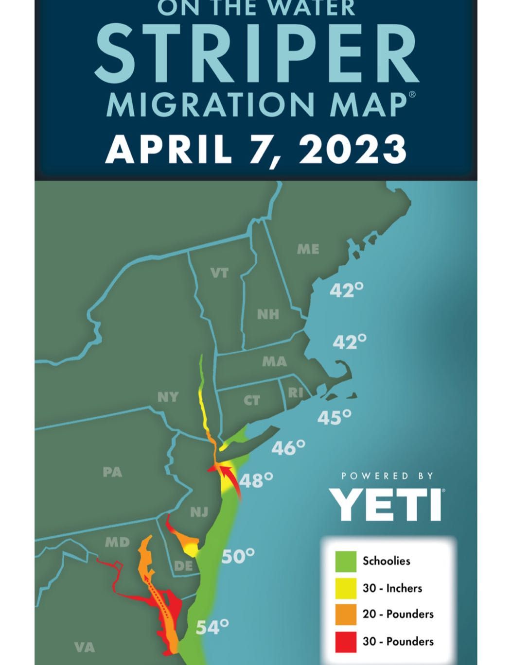 Latest Striped Bass Migration Map fishing report coverpicture