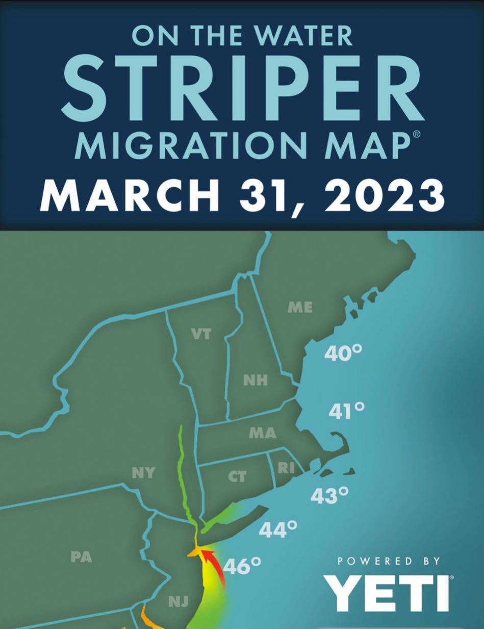 March 31 Striper Migration Map fishing report coverpicture