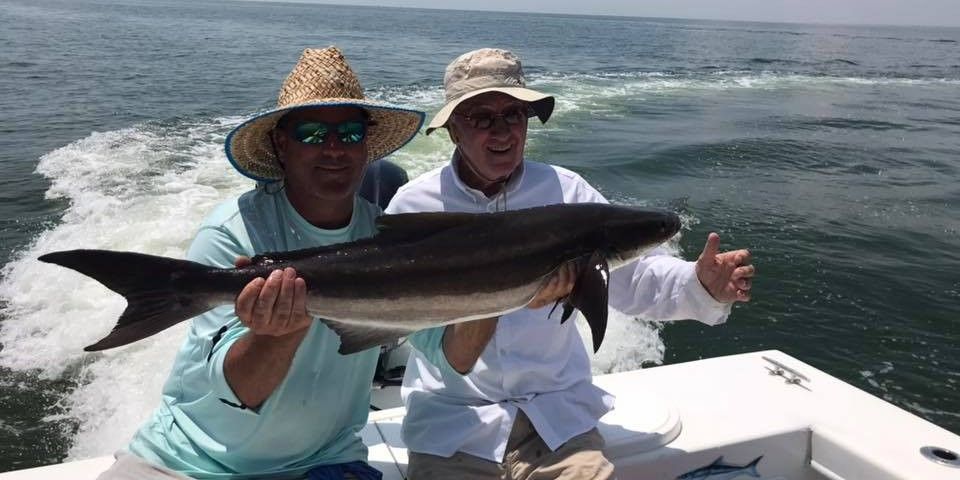 Premier Chesapeake Bay Fishing for Beginners