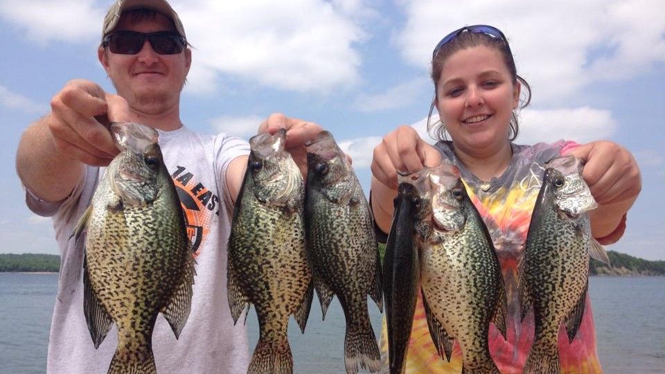 Premium Beaver Lake Crappie Trip | Weekend Guide
