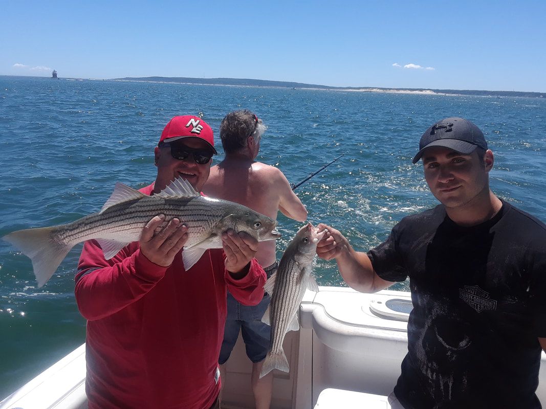 Cape Cod Striped Bass Fishing