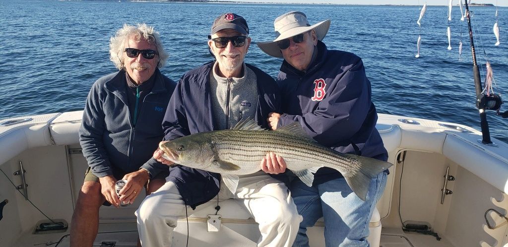 Nice Sized Striper from Plymouth Harbor