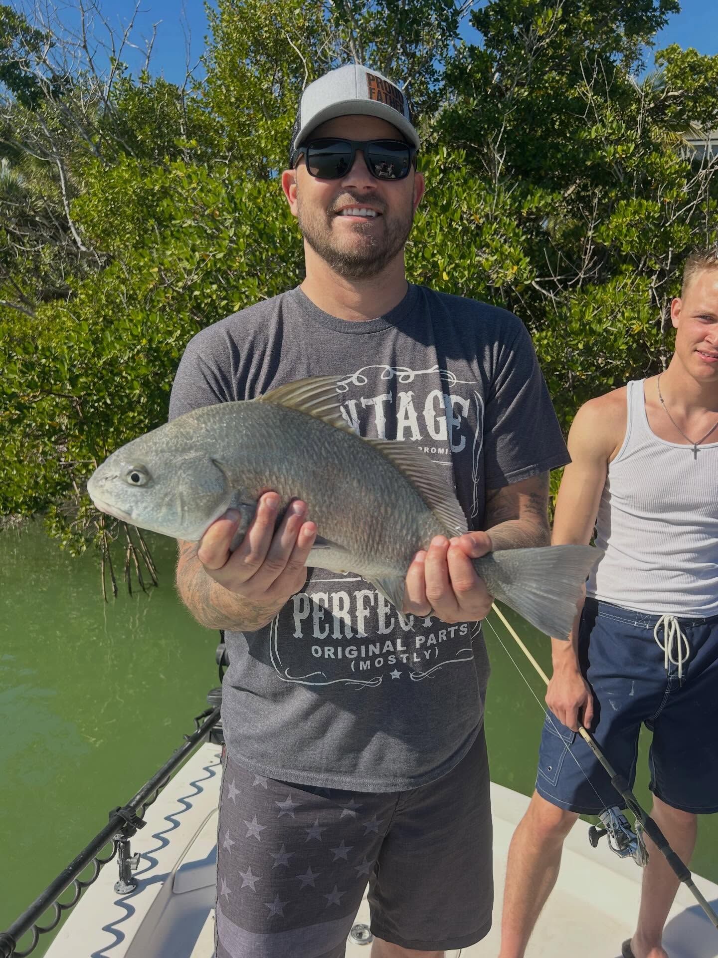 Multi-species action with shrimp on the menu fishing report coverpicture