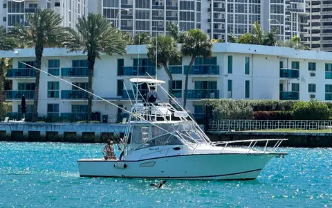 Motorboat (engine-powered)