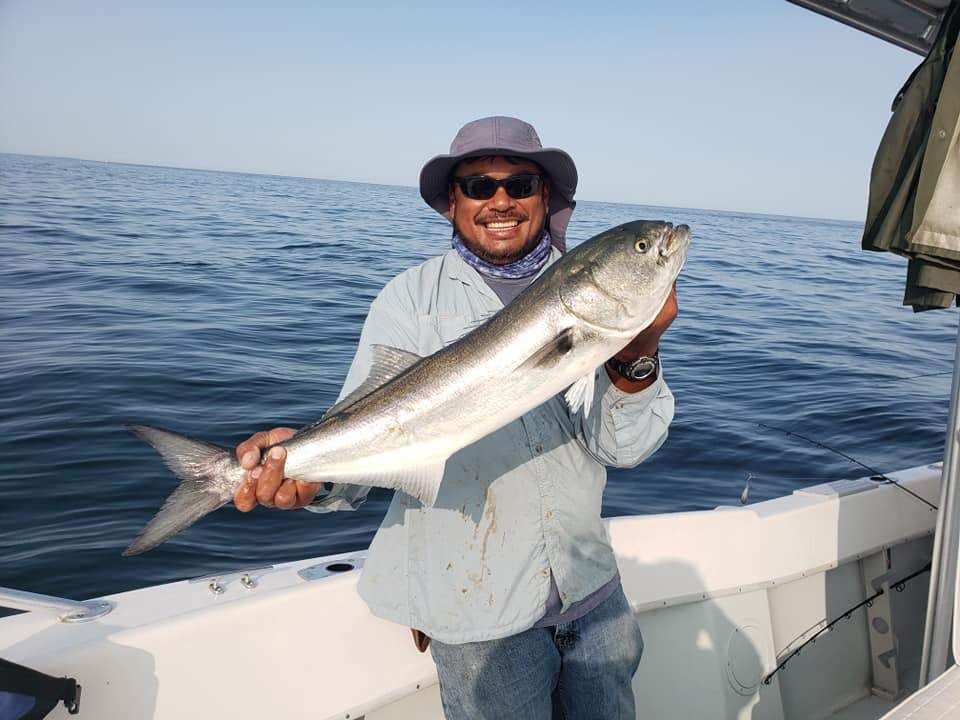 Fish-Species