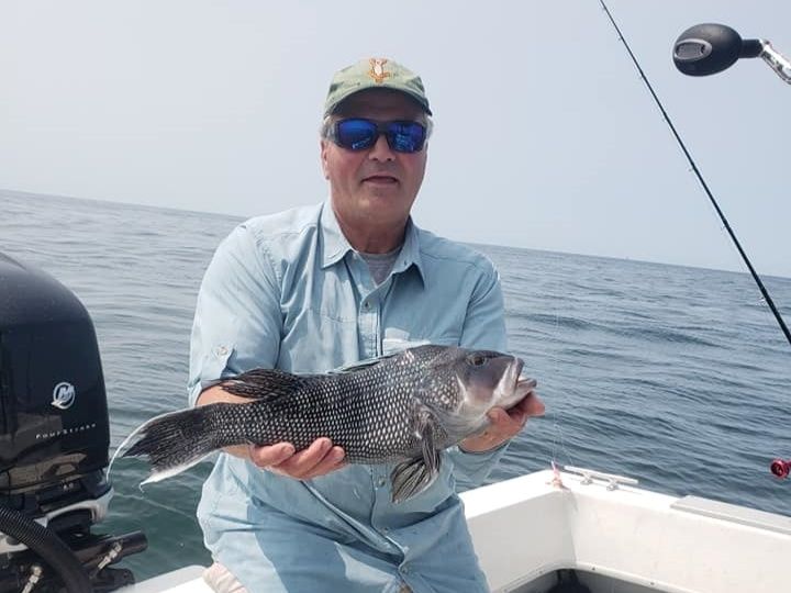 Fish-Species